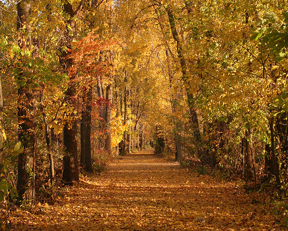 Autumn Lane Horizontal