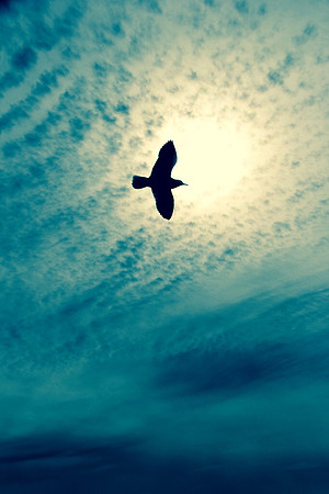 Blue Journey