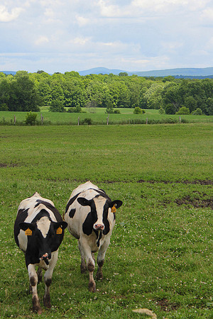 Ben and Jerry