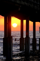 Sunset Surfer
